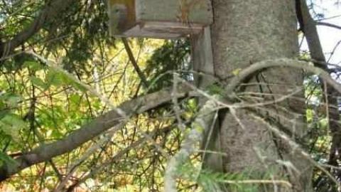 The Spencer House photo 5