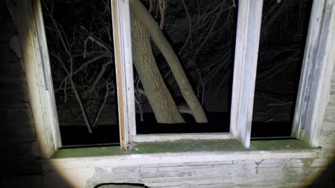 Collapse and Decay - 20200404_230548.jpg