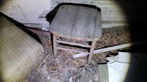 Collapse and Decay - 20200404_230605.jpg