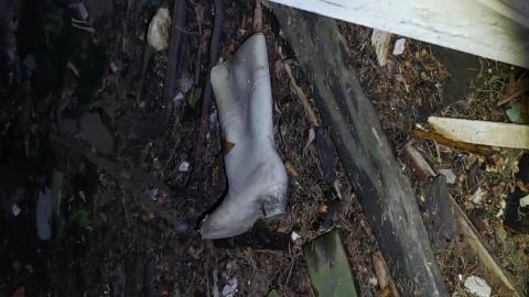 Collapse and Decay - 20200404_230736.jpg