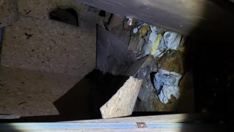 Collapse and Decay - 20200404_230809.jpg