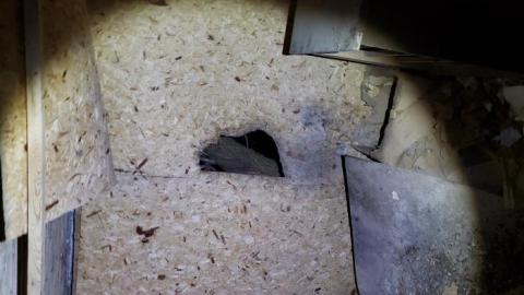 Collapse and Decay - 20200404_230830.jpg