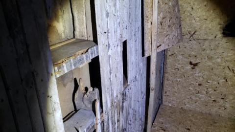 Collapse and Decay - 20200404_230834.jpg