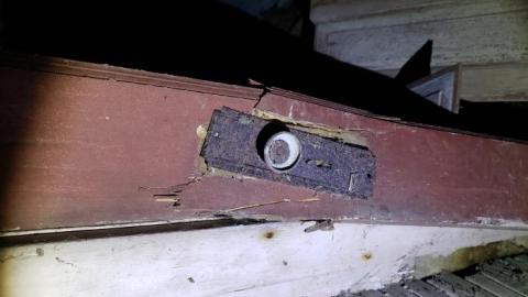 Collapse and Decay - 20200404_230917.jpg