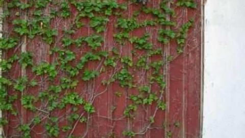 Sept 2011 - The-Spencer-House10.jpg