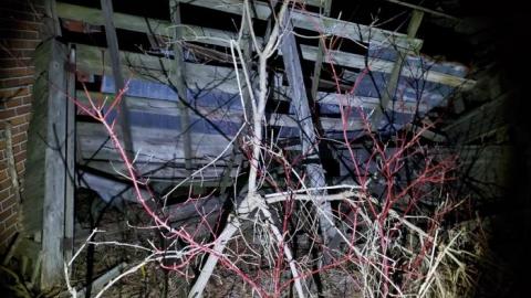 Collapse and Decay - 20200404_231045.jpg