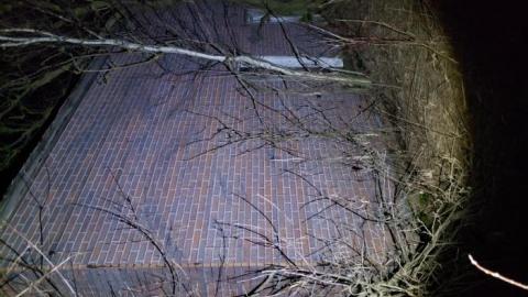 Collapse and Decay - 20200404_231233.jpg