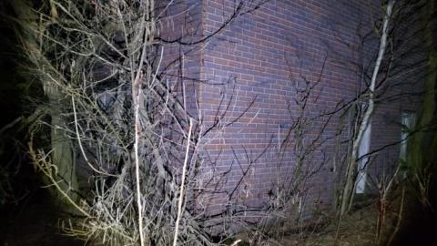 Collapse and Decay - 20200404_231239.jpg