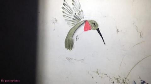 Photo from House findings