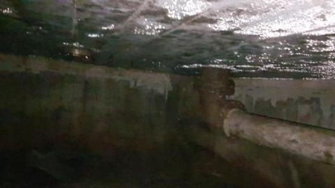 Barber - 20170620_024221.jpg