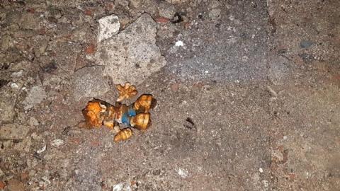 Barber - 20170620_025324.jpg