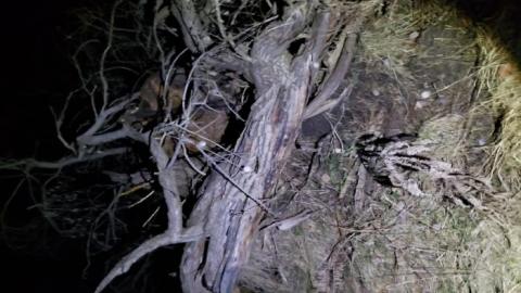 Collapsed Walls and Flood - 20200404_232947.jpg