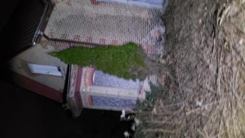 Collapsed Walls and Flood - 20200404_232953.jpg