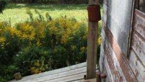 Gallery - IMG_1892.jpg