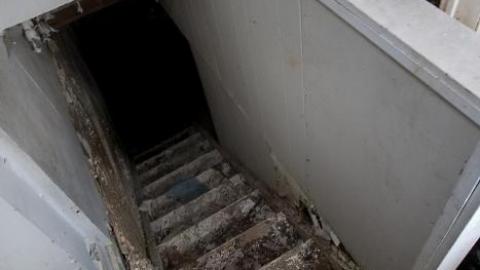 April 2020 - IMG_3951s.jpg