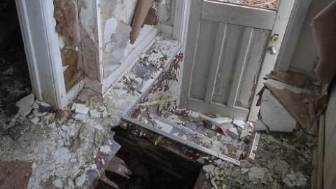 April 2020 - IMG_3972s.jpg