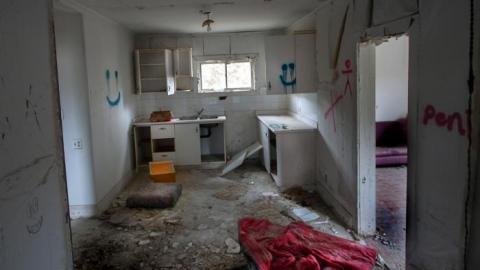 April 2020 - IMG_3973s.jpg