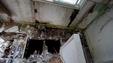 April 2020 - IMG_3975s.jpg