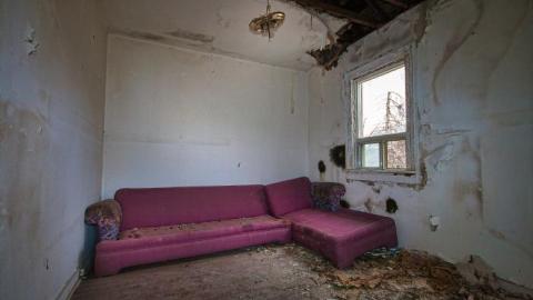 April 2020 - IMG_3977s.jpg