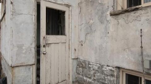 April 2020 - IMG_3994s.jpg