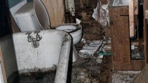 April 2020 - IMG_4004s.jpg