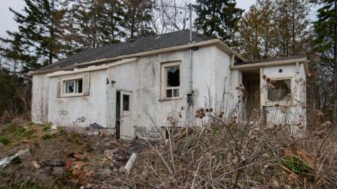 April 2020 - IMG_4030s.jpg