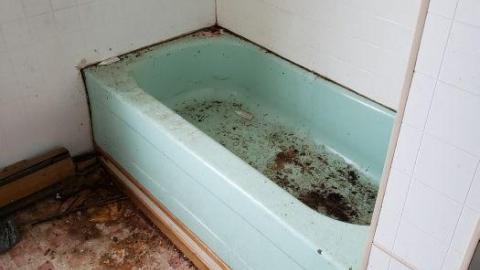 April 19 2020 - 20200419_080036.jpg