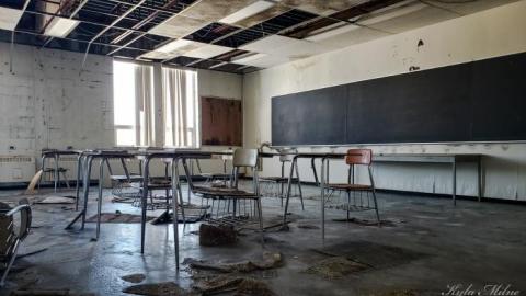 Almaguin Highlands  - PSX_20200402_220002.jpg