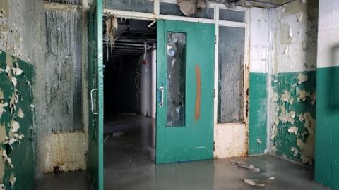 Almaguin Highlands  - PSX_20200322_213604.jpg