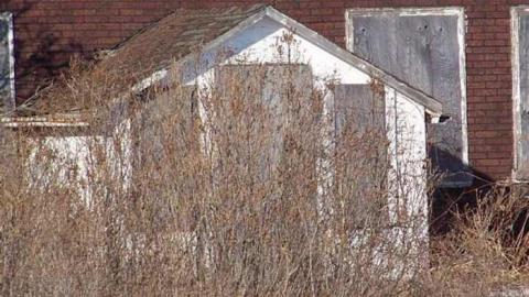 Old Beeton farm - Farm-Beeton17.jpg