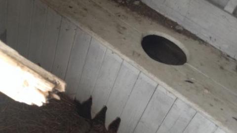 Halifax School No. 3925 - 2016-01-24 643.jpg