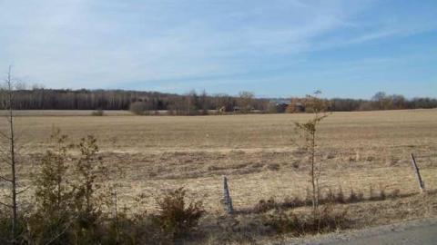 Old Farm in New Tec - Old-Farm-in-New-Tecumseth28.jpg