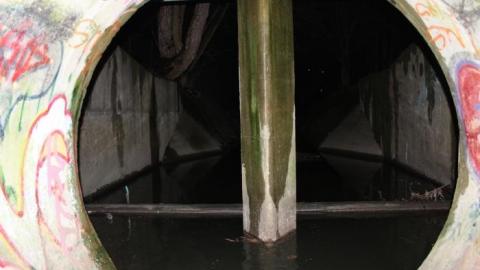 Draining on many occasions - IMG_3835.jpg