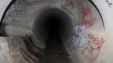 Draining on many occasions - IMG_3981.jpg