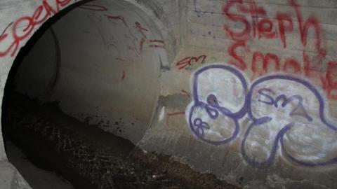 Draining on many occasions - IMG_3985.jpg