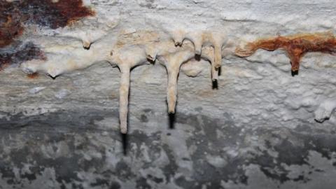 Draining on many occasions - IMG_3993.jpg