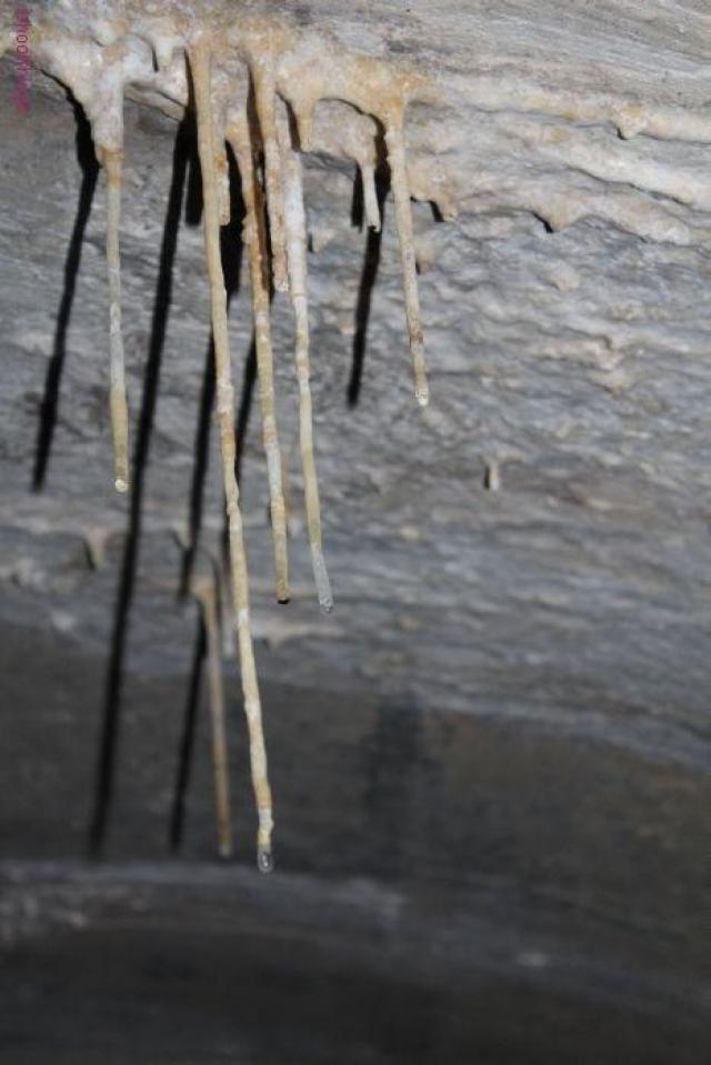 Duke Drain (Empties Into Schnider Creek) - Kitchener, Ontario