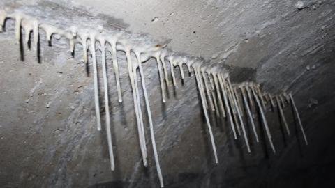 Draining on many occasions - IMG_4260.jpg