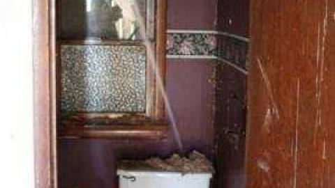 Gallery - IMG_1880.jpg