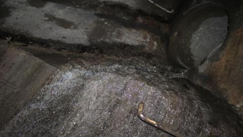 Draining on many occasions - IMG_4291.jpg