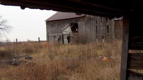 Photo from greenwellsglory