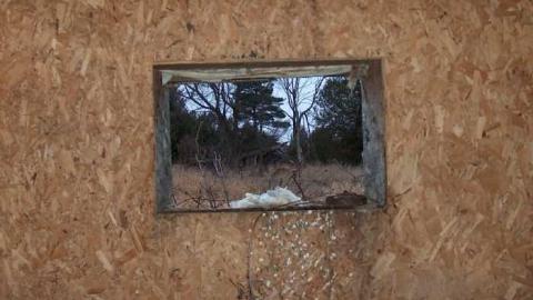 Photo from greenwellsglory