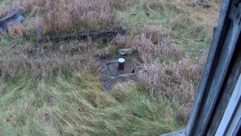 Photo from greenwellsglory