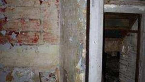 Gallery - IMG_1856.jpg