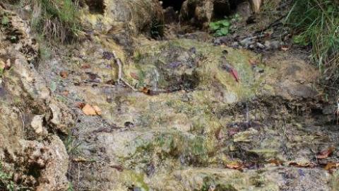 We almost died- Oct 6th 2019 - IMG_0407.jpg