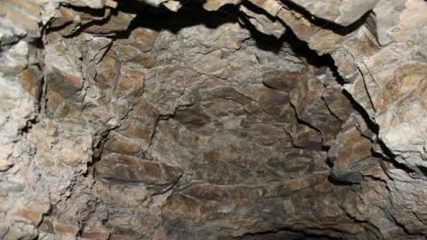 We almost died- Oct 6th 2019 - IMG_0416.jpg