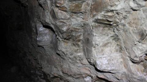 We almost died- Oct 6th 2019 - IMG_0418.jpg