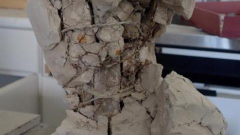 Sculptor House '19 - DSC00899.jpg