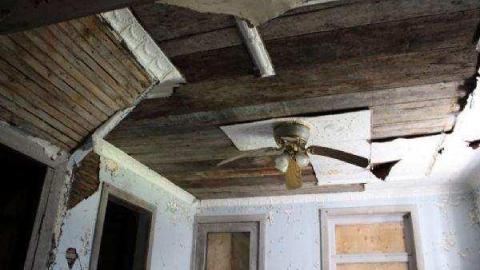 Gallery - IMG_1871.jpg