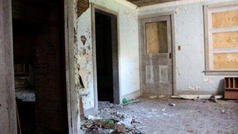 Still Standing in Dale photo 5